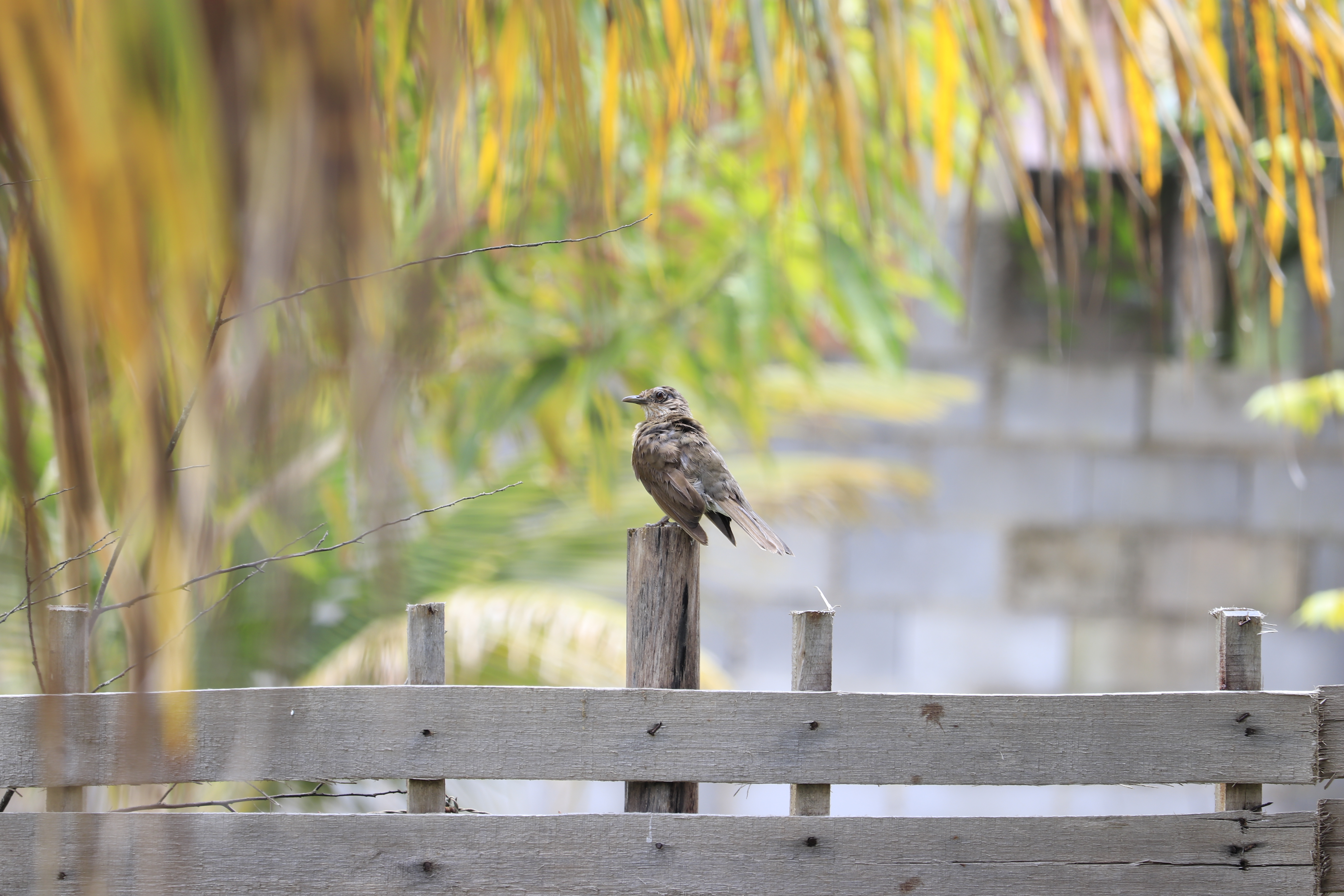 Explorando a Natureza